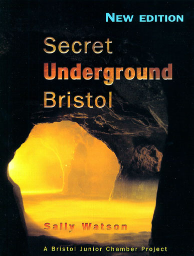 the secrets of underground medicine book free
